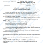 Dịch Thuật SMS xin giới thiệu Mẫu thỏa ước lao động tập thể (Collective labor agreement) tiếng Anh - Việt song ngữ do chính đội ngũ chuyên gia dịch thuật điều lệ, nội quy và quy chế công ty của chúng tôi thực hiện.